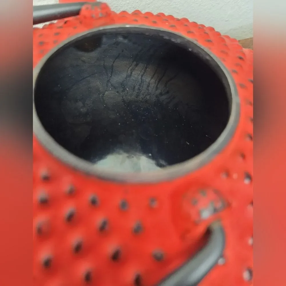 Japanese Cast Iron Tea Kettle Red Dragon